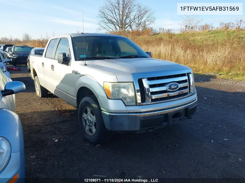 2010 Ford F-150 VIN: 1FTFW1EV5AFB31569 Lot: 12159071