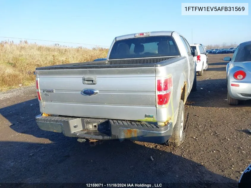 2010 Ford F-150 VIN: 1FTFW1EV5AFB31569 Lot: 12159071