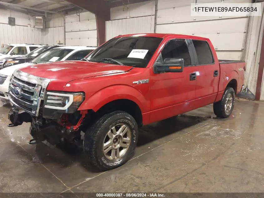 2010 Ford F-150 Xl/Xlt VIN: 1FTEW1E89AFD65834 Lot: 40000387