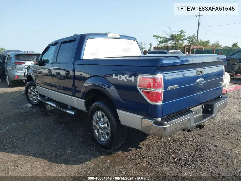 2010 Ford F-150 Xl/Xlt VIN: 1FTEW1E83AFA51645 Lot: 40084549