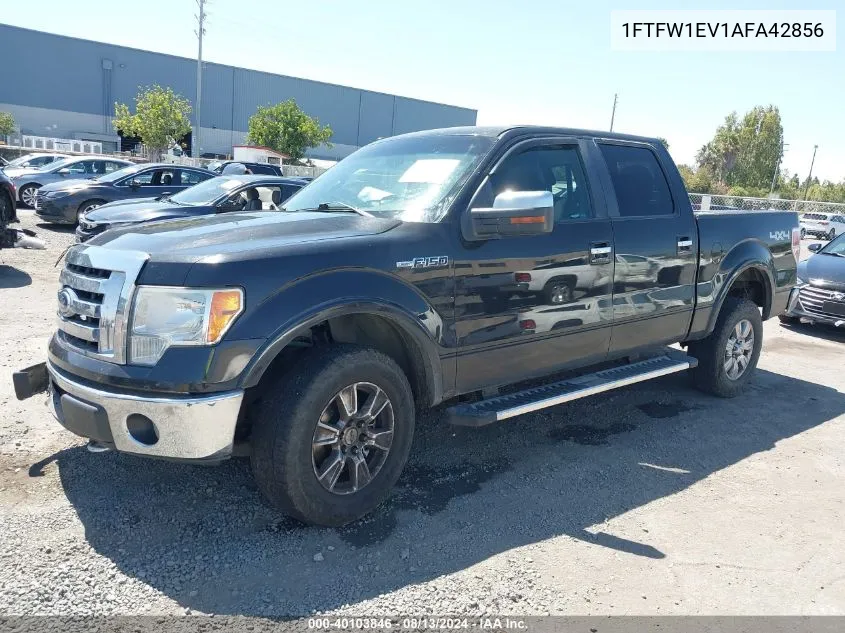 1FTFW1EV1AFA42856 2010 Ford F-150 Lariat