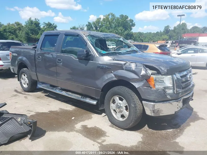 2010 Ford F-150 Xl/Xlt VIN: 1FTEW1E80AFC80879 Lot: 40172011