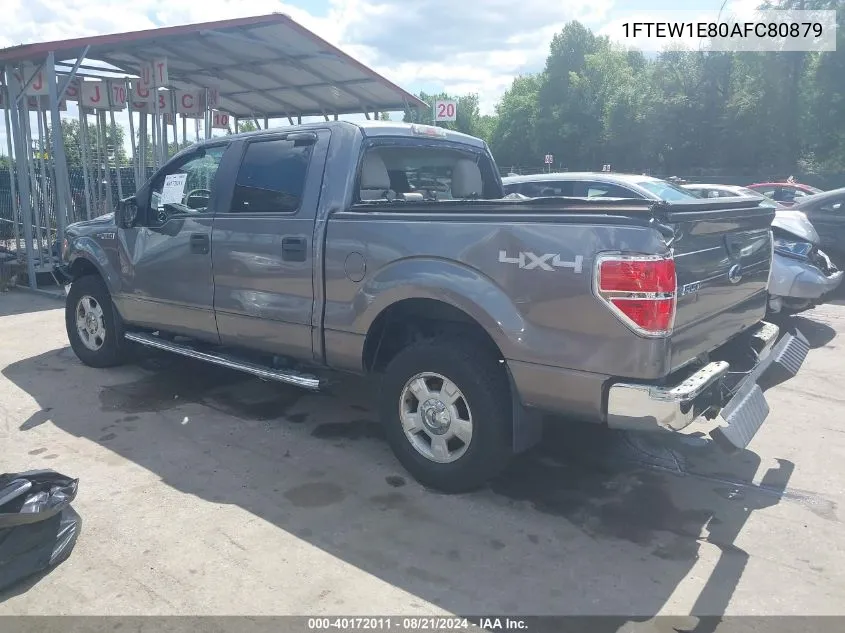 2010 Ford F-150 Xl/Xlt VIN: 1FTEW1E80AFC80879 Lot: 40172011