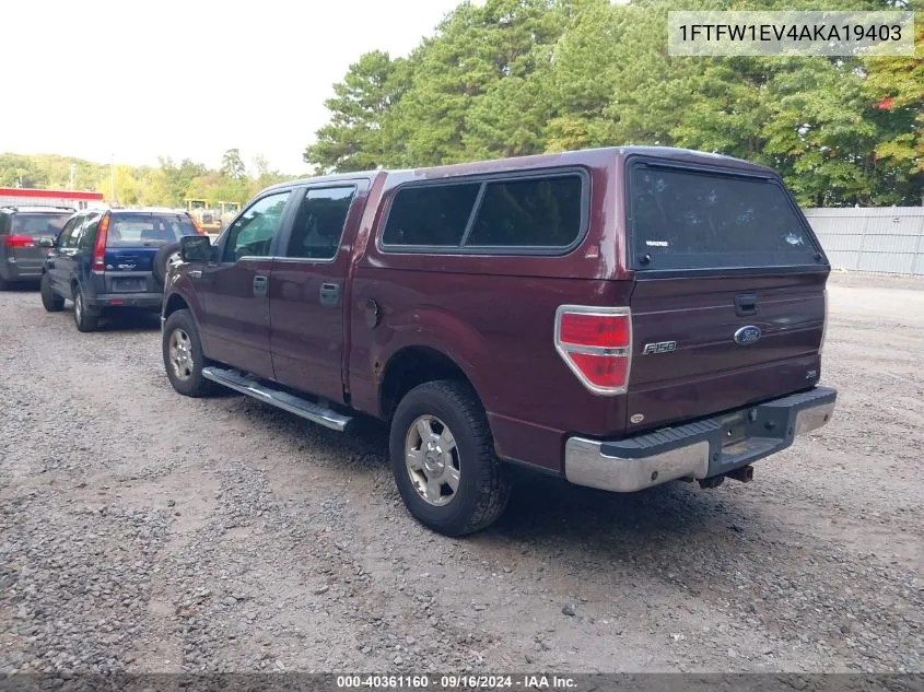 2010 Ford F-150 Fx4/Harley-Davidson/King Ranch/Lariat/Platinum/Xl/Xlt VIN: 1FTFW1EV4AKA19403 Lot: 40361160