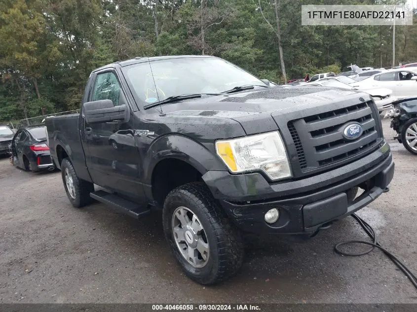 2010 Ford F-150 Stx/Xl/Xlt VIN: 1FTMF1E80AFD22141 Lot: 40466058