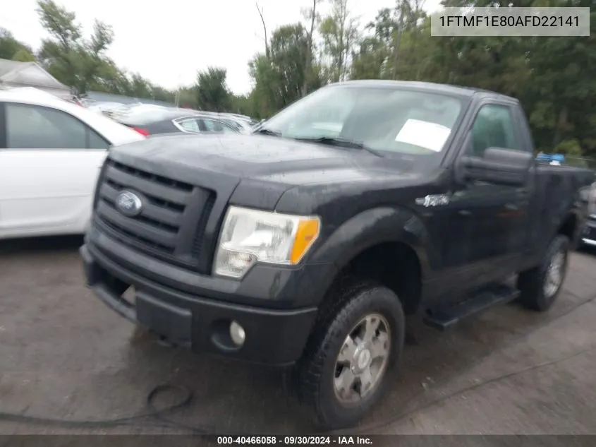 2010 Ford F-150 Stx/Xl/Xlt VIN: 1FTMF1E80AFD22141 Lot: 40466058