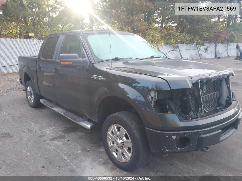 2010 Ford F-150 Fx4/Harley-Davidson/King Ranch/Lariat/Platinum/Xl/Xlt VIN: 1FTFW1EV3AFA21569 Lot: 40558532