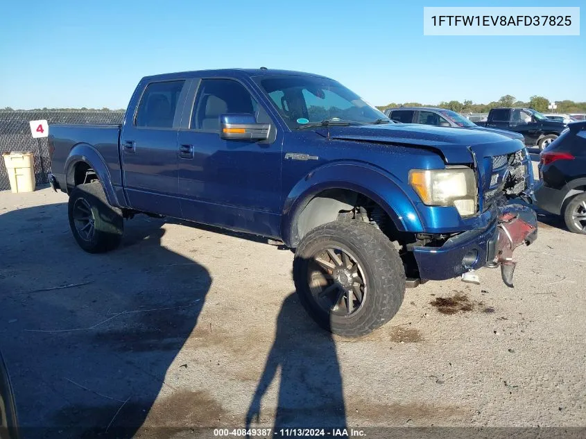 2010 Ford F-150 Fx4/Harley-Davidson/King Ranch/Lariat/Platinum/Xl/Xlt VIN: 1FTFW1EV8AFD37825 Lot: 40849387