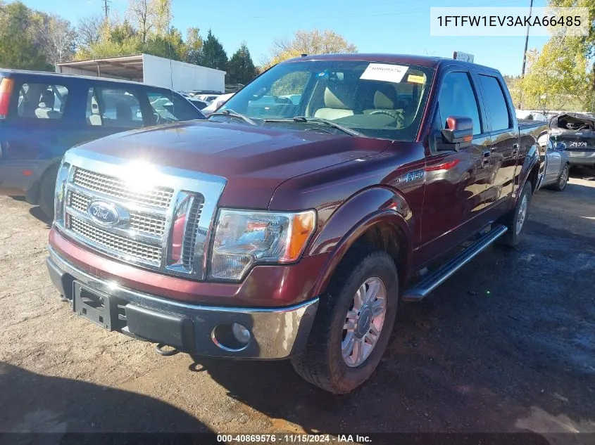 2010 Ford F-150 Fx4/Harley-Davidson/King Ranch/Lariat/Platinum/Xl/Xlt VIN: 1FTFW1EV3AKA66485 Lot: 40869576