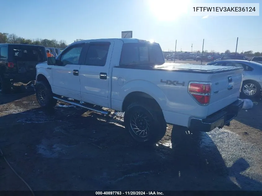 2010 Ford F-150 Fx4/Harley-Davidson/King Ranch/Lariat/Platinum/Xl/Xlt VIN: 1FTFW1EV3AKE36124 Lot: 40897763