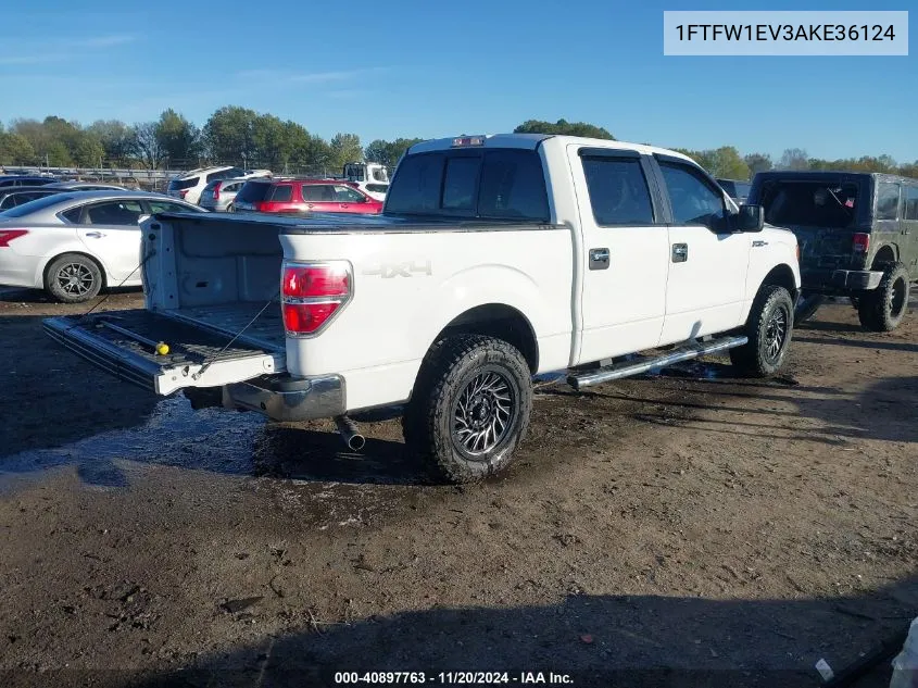 2010 Ford F-150 Fx4/Harley-Davidson/King Ranch/Lariat/Platinum/Xl/Xlt VIN: 1FTFW1EV3AKE36124 Lot: 40897763