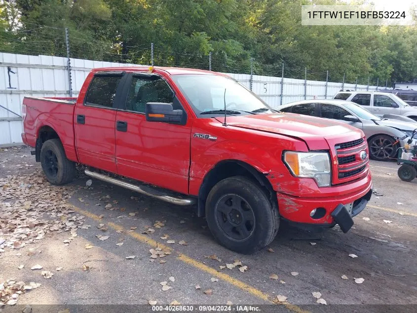 2011 Ford F-150 Xlt VIN: 1FTFW1EF1BFB53224 Lot: 40268630