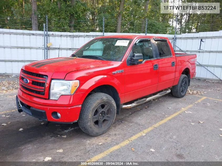 2011 Ford F-150 Xlt VIN: 1FTFW1EF1BFB53224 Lot: 40268630