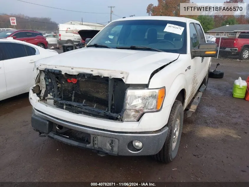 2011 Ford F-150 Xlt VIN: 1FTFW1EF1BFA66570 Lot: 40782071