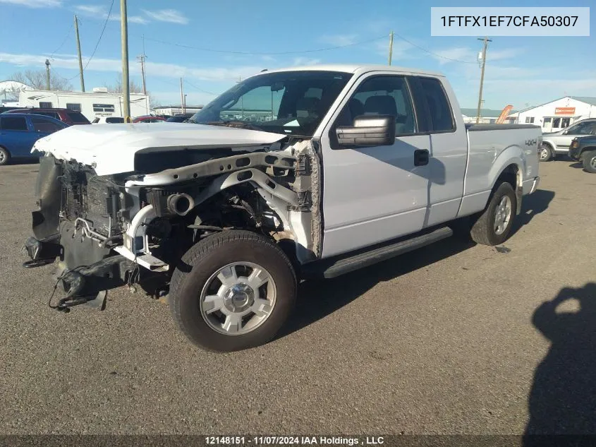 2012 Ford F-150 Xlt VIN: 1FTFX1EF7CFA50307 Lot: 12148151