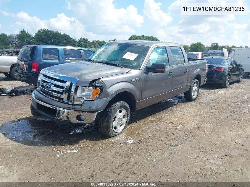 2012 Ford F-150 Xlt VIN: 1FTEW1CM0CFA81236 Lot: 40333273