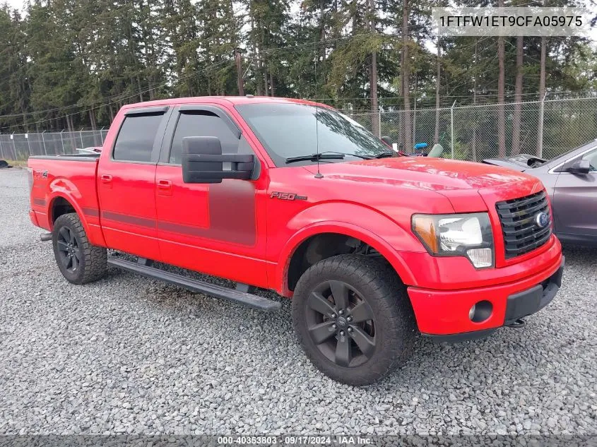 2012 Ford F-150 Fx4 VIN: 1FTFW1ET9CFA05975 Lot: 40353803