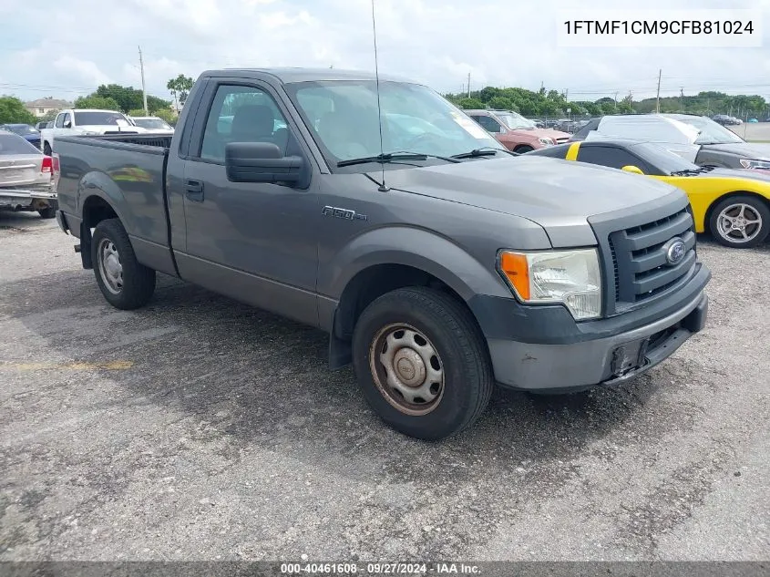 2012 Ford F-150 Xl VIN: 1FTMF1CM9CFB81024 Lot: 40461608