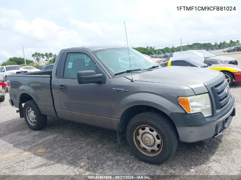 2012 Ford F-150 Xl VIN: 1FTMF1CM9CFB81024 Lot: 40461608