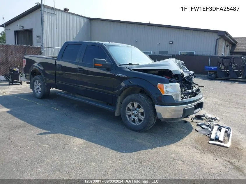 2013 Ford F-150 VIN: 1FTFW1EF3DFA25487 Lot: 12073981