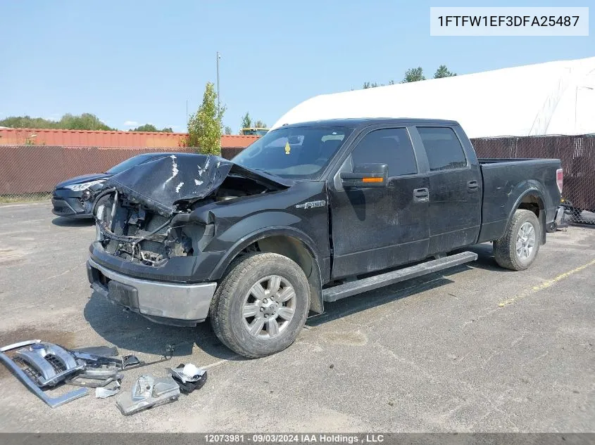 1FTFW1EF3DFA25487 2013 Ford F-150