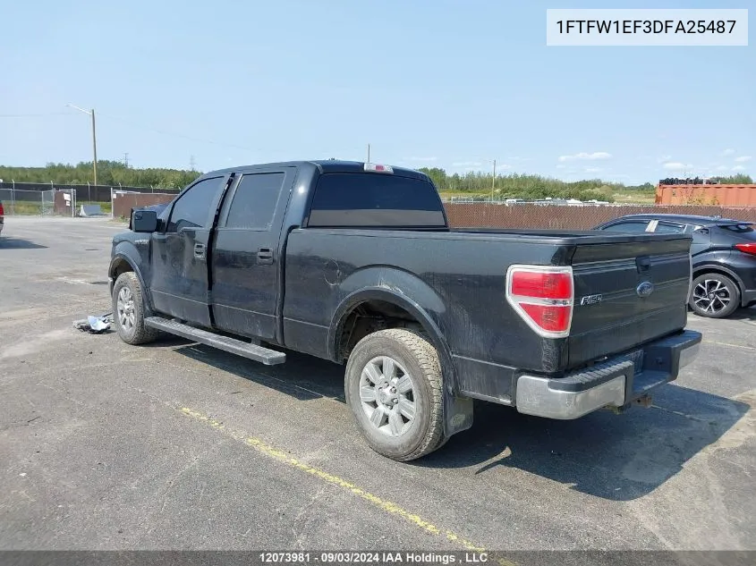 2013 Ford F-150 VIN: 1FTFW1EF3DFA25487 Lot: 12073981