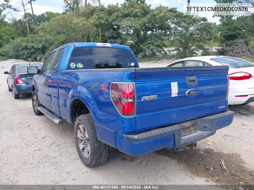 1FTEX1CM5DKD02576 2013 Ford F-150 Stx