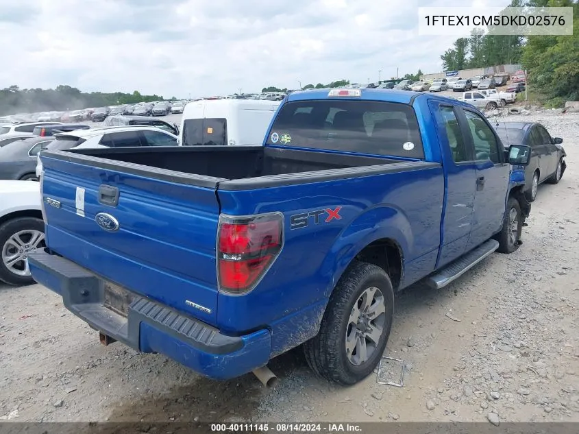 1FTEX1CM5DKD02576 2013 Ford F-150 Stx