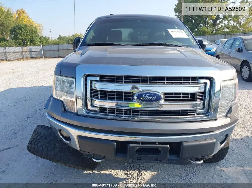 1FTFW1EF1DFA52509 2013 Ford F-150 Xlt