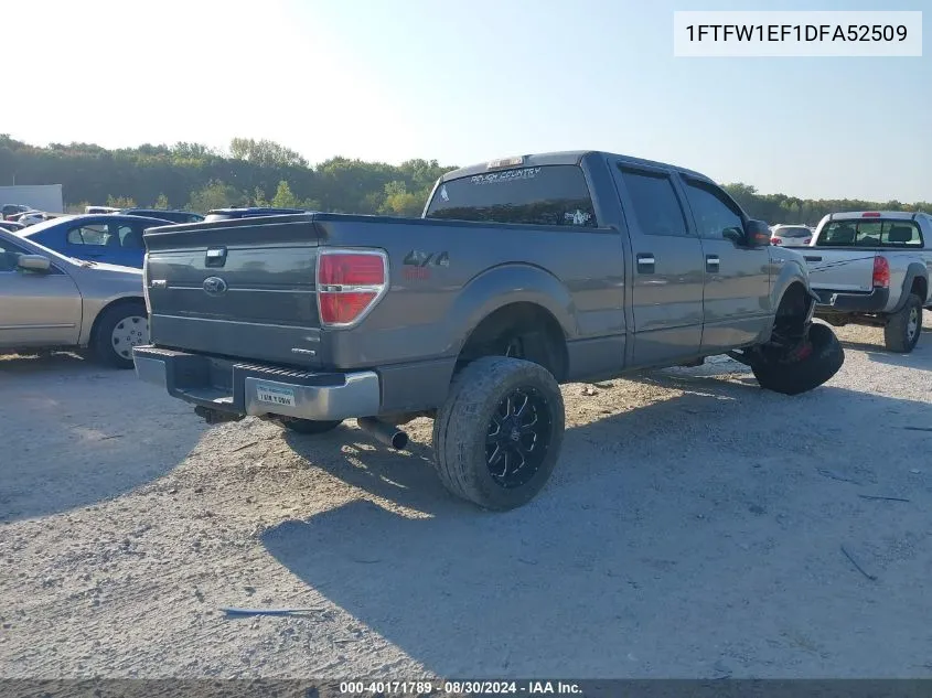 2013 Ford F-150 Xlt VIN: 1FTFW1EF1DFA52509 Lot: 40171789