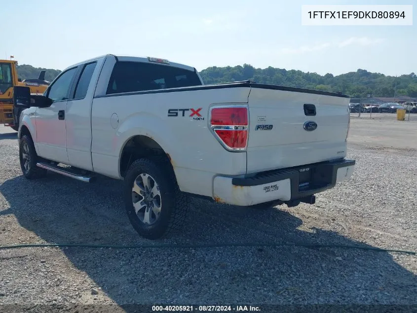 2013 Ford F-150 Stx VIN: 1FTFX1EF9DKD80894 Lot: 40205921