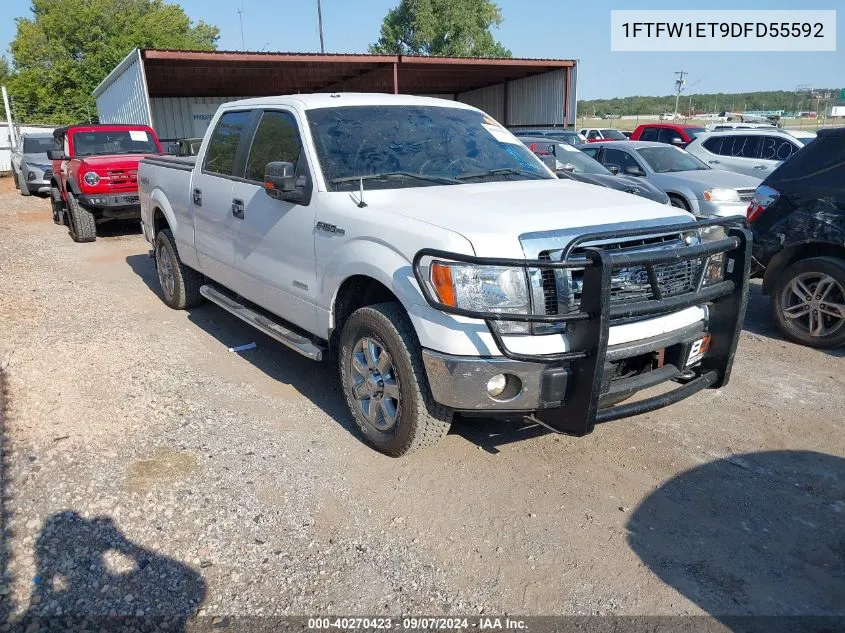 2013 Ford F-150 Xlt VIN: 1FTFW1ET9DFD55592 Lot: 40270423