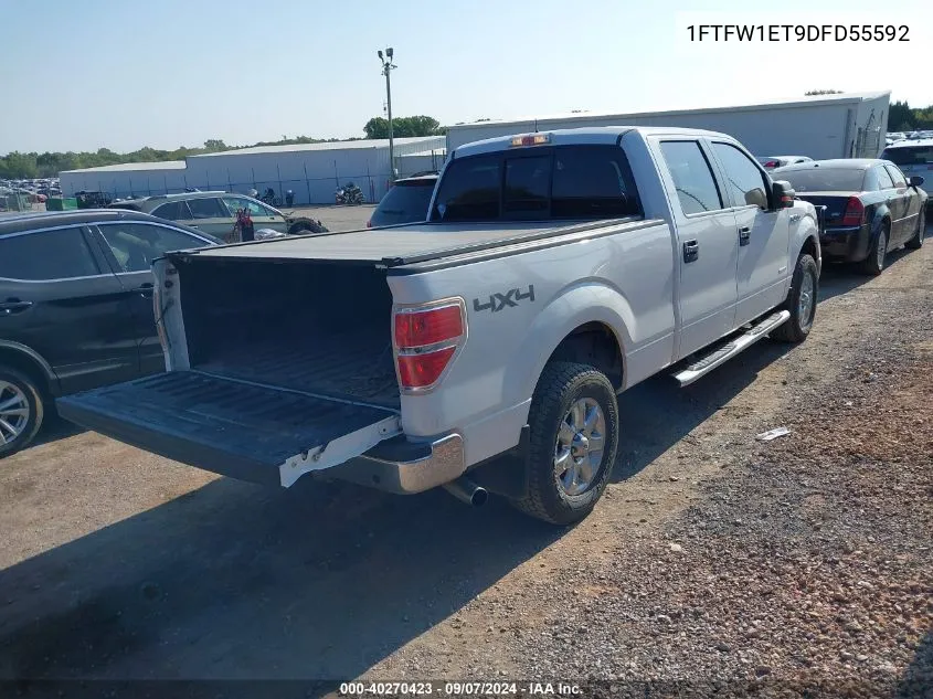 2013 Ford F-150 Xlt VIN: 1FTFW1ET9DFD55592 Lot: 40270423