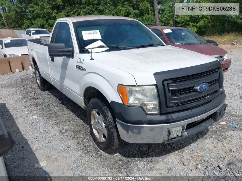 2013 Ford F-150 Xl VIN: 1FTNF1CT9DKE06238 Lot: 40305192