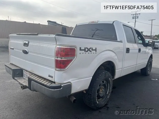 1FTFW1EF5DFA75405 2013 Ford F-150 Xlt