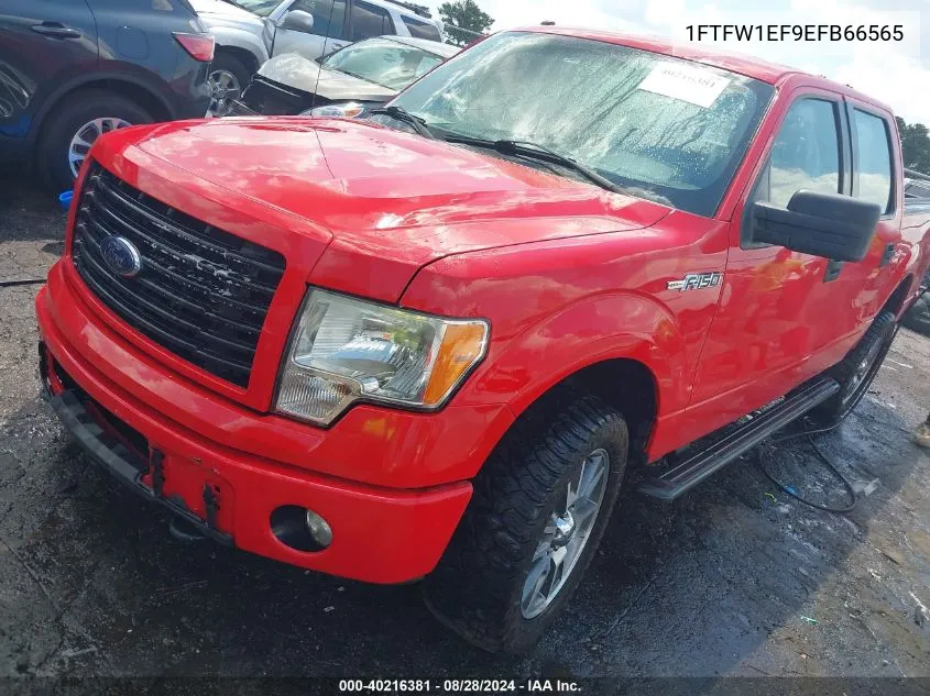 2014 Ford F-150 Stx VIN: 1FTFW1EF9EFB66565 Lot: 40216381