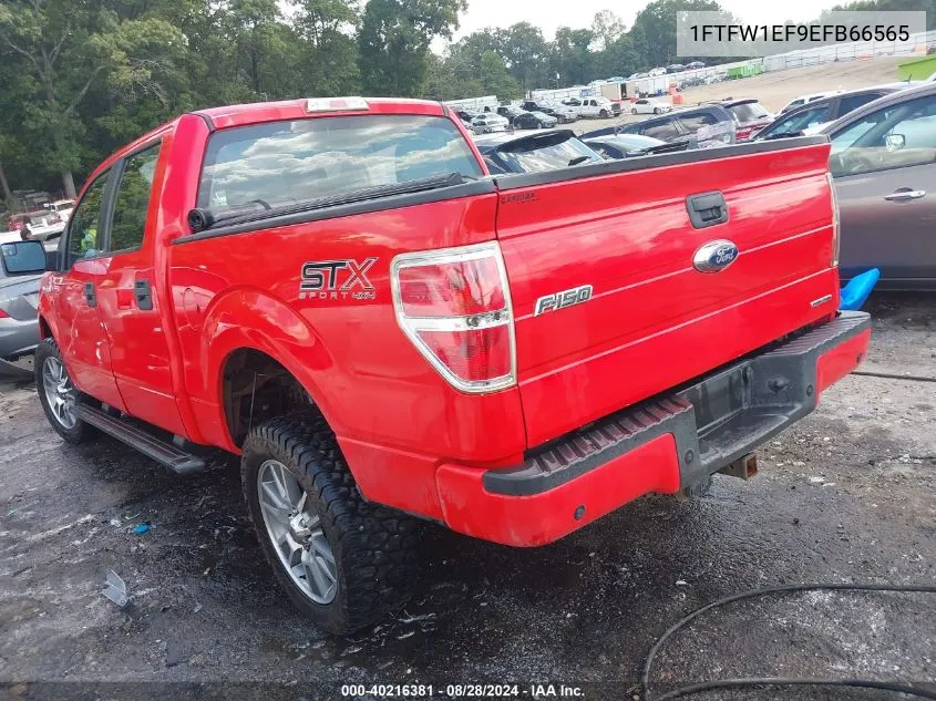 1FTFW1EF9EFB66565 2014 Ford F-150 Stx