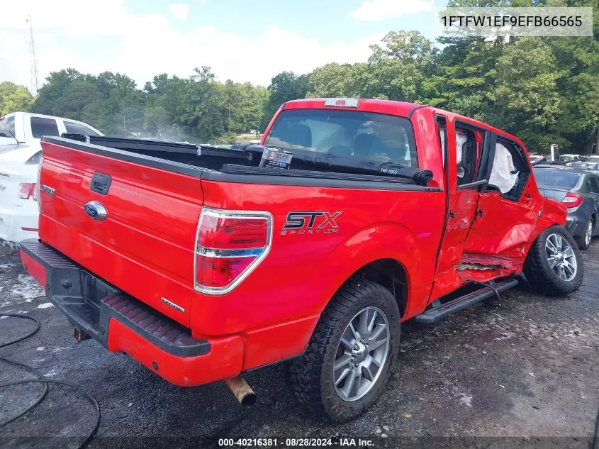 1FTFW1EF9EFB66565 2014 Ford F-150 Stx