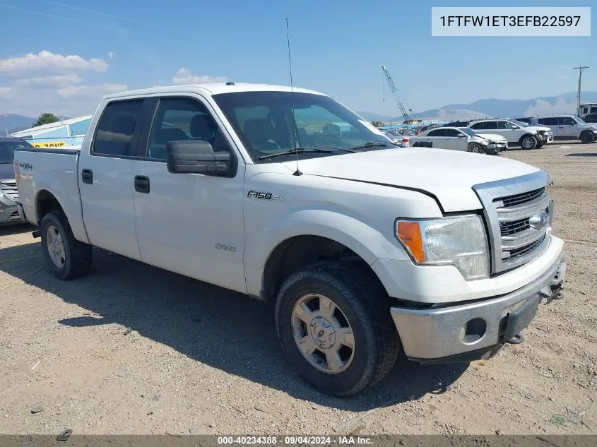 2014 Ford F-150 Xlt VIN: 1FTFW1ET3EFB22597 Lot: 40234388