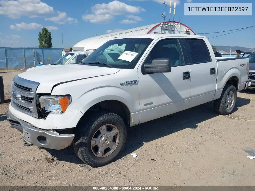 2014 Ford F-150 Xlt VIN: 1FTFW1ET3EFB22597 Lot: 40234388