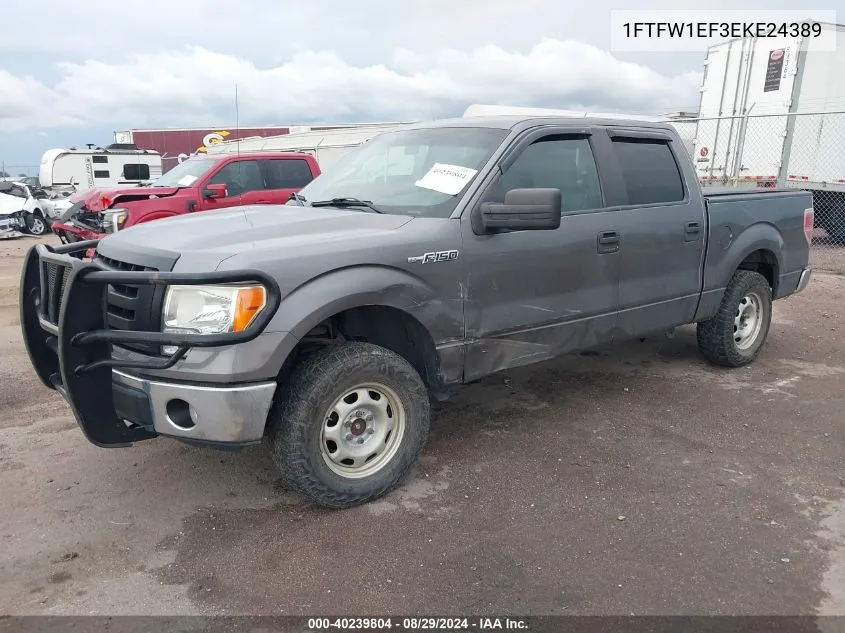 2014 Ford F-150 Xlt VIN: 1FTFW1EF3EKE24389 Lot: 40239804