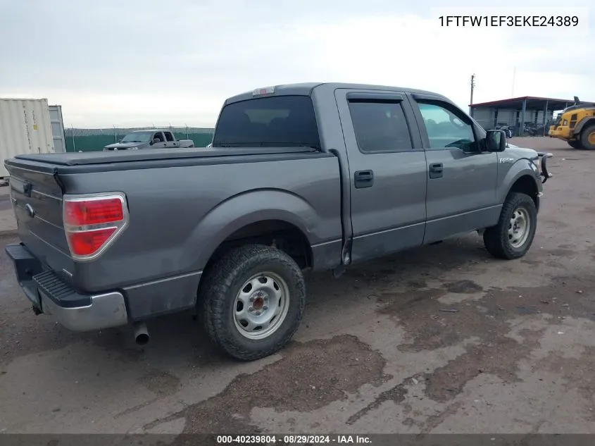 2014 Ford F-150 Xlt VIN: 1FTFW1EF3EKE24389 Lot: 40239804