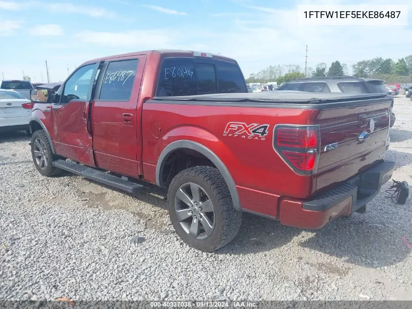 1FTFW1EF5EKE86487 2014 Ford F-150 Supercrew