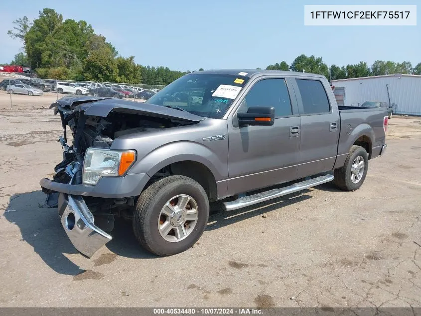 2014 Ford F-150 Xlt VIN: 1FTFW1CF2EKF75517 Lot: 40534480