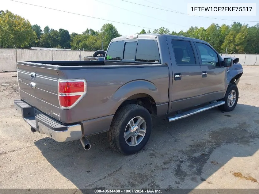 2014 Ford F-150 Xlt VIN: 1FTFW1CF2EKF75517 Lot: 40534480