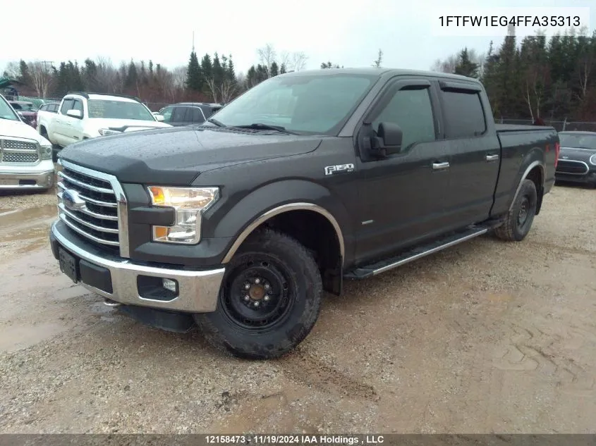 2015 Ford F150 Supercrew VIN: 1FTFW1EG4FFA35313 Lot: 12158473