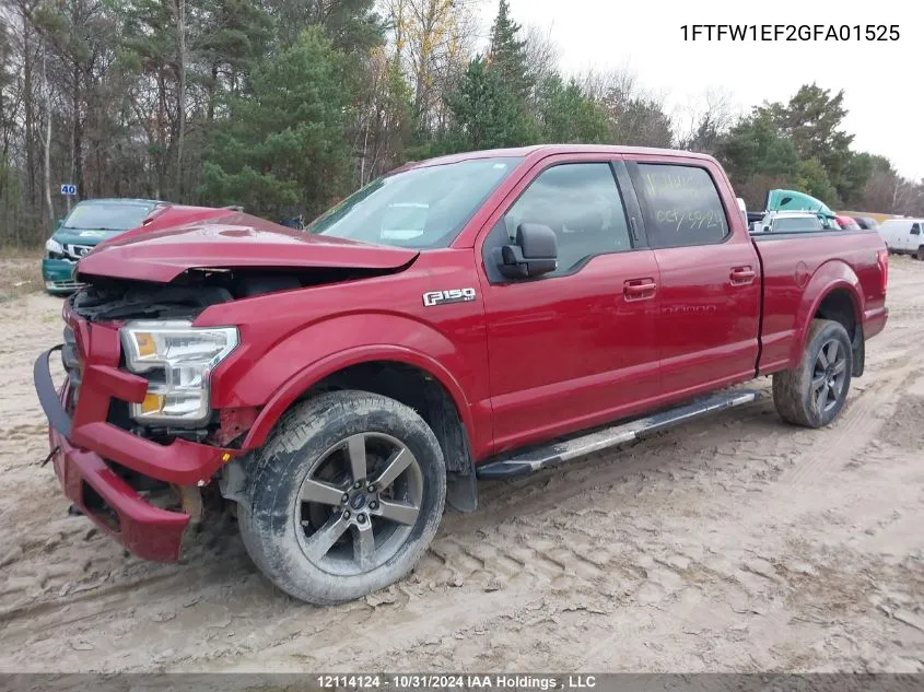 2016 Ford F-150 VIN: 1FTFW1EF2GFA01525 Lot: 12114124