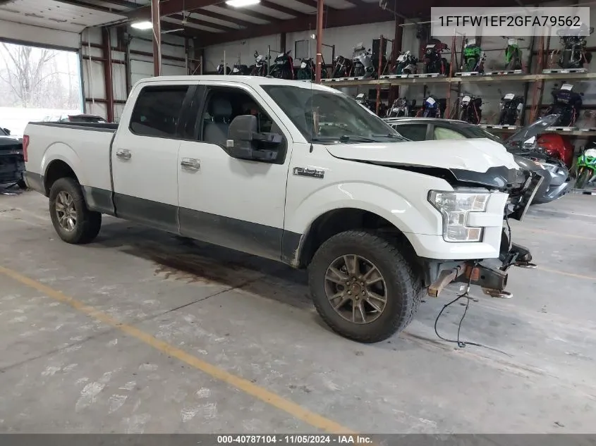 1FTFW1EF2GFA79562 2016 Ford F-150 Xlt