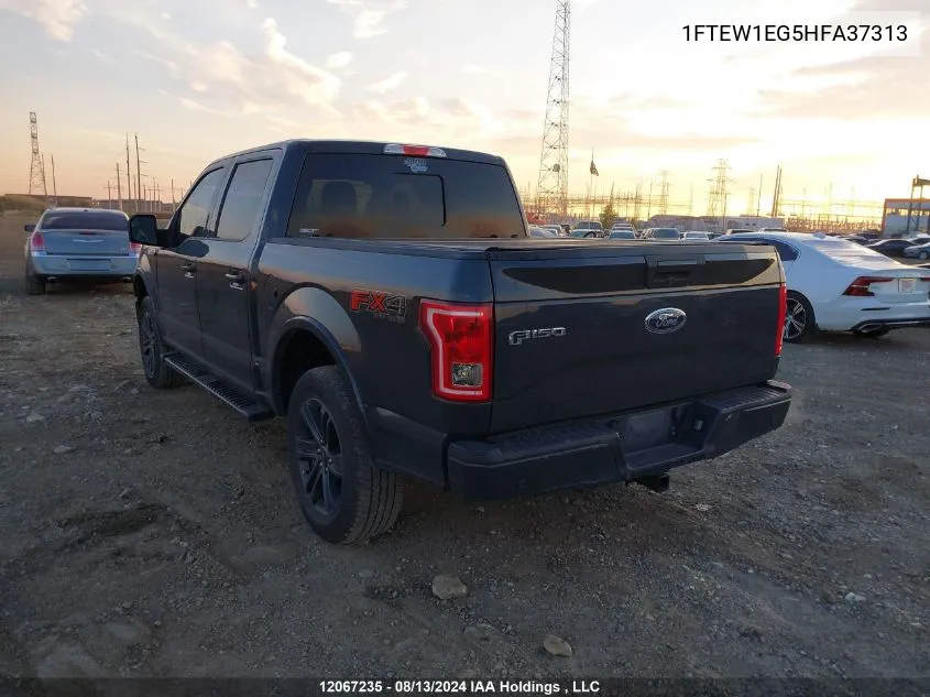 2017 Ford F150 Supercrew VIN: 1FTEW1EG5HFA37313 Lot: 12067235