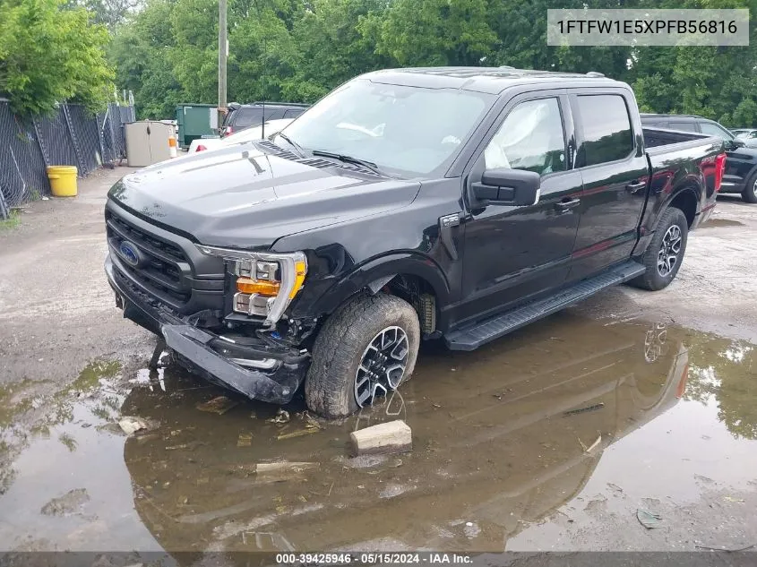 2023 Ford F-150 Xlt VIN: 1FTFW1E5XPFB56816 Lot: 39425946